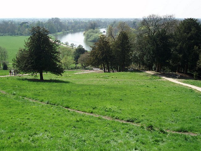 RP4221007.JPG