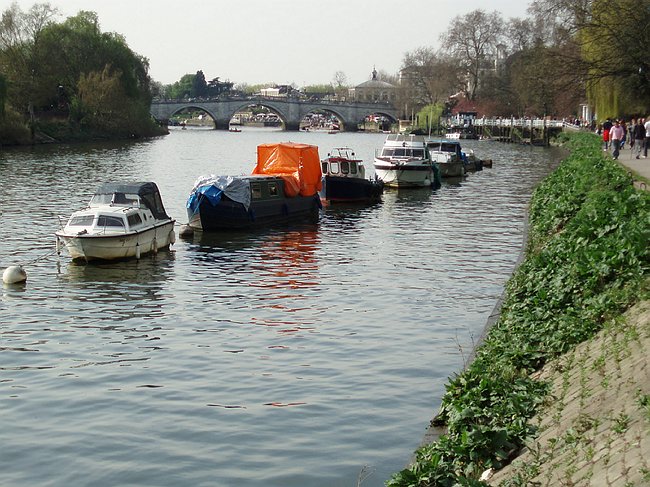 RP4221011.JPG